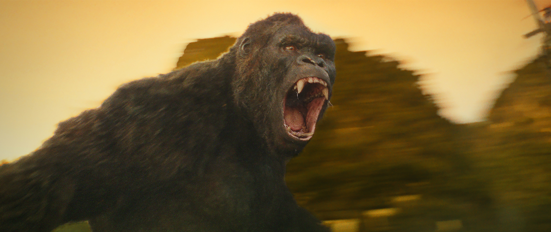 Kong: Skull Island