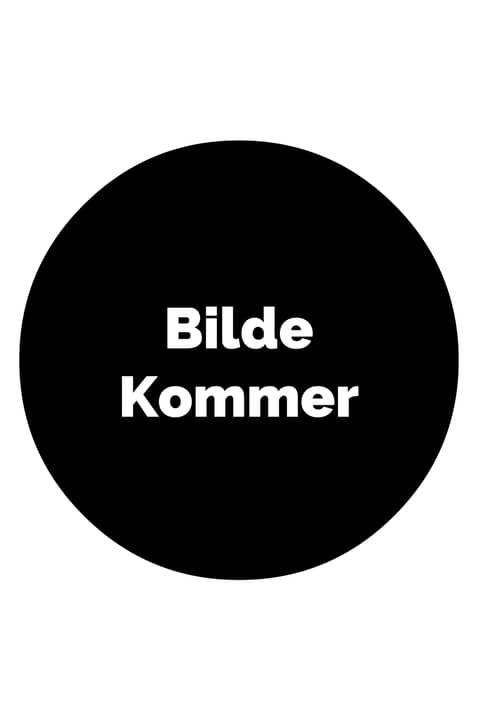 Olsenbanden 9 - og Data-Harry sprenger verdensbanken