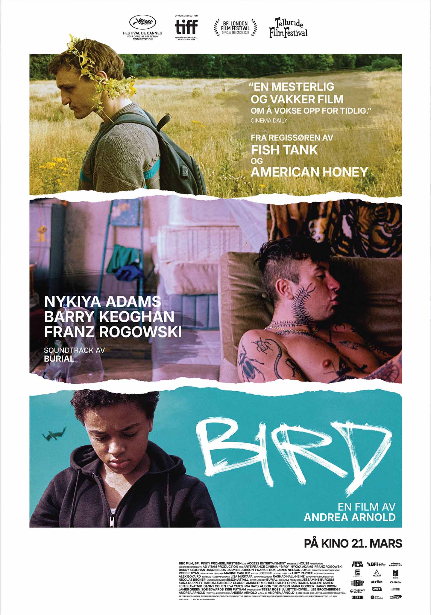 Bird