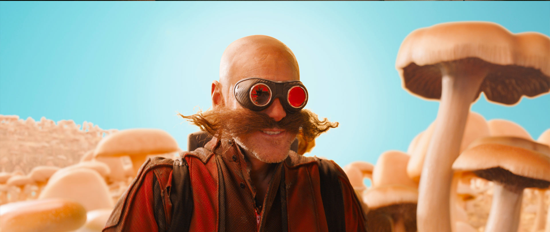 Sonic the Hedgehog